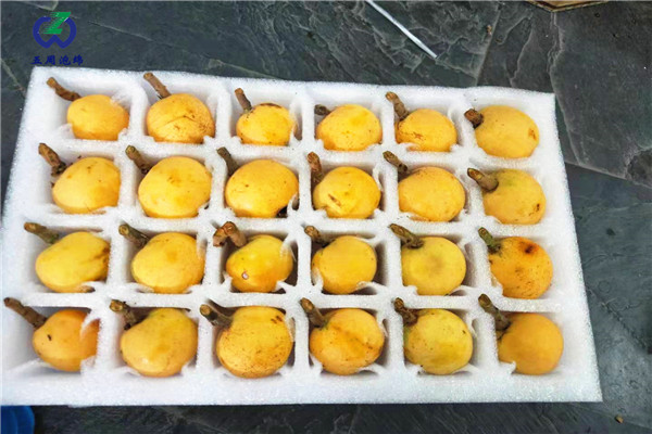 防止水果運輸霉變，用珍珠棉水果托就對了